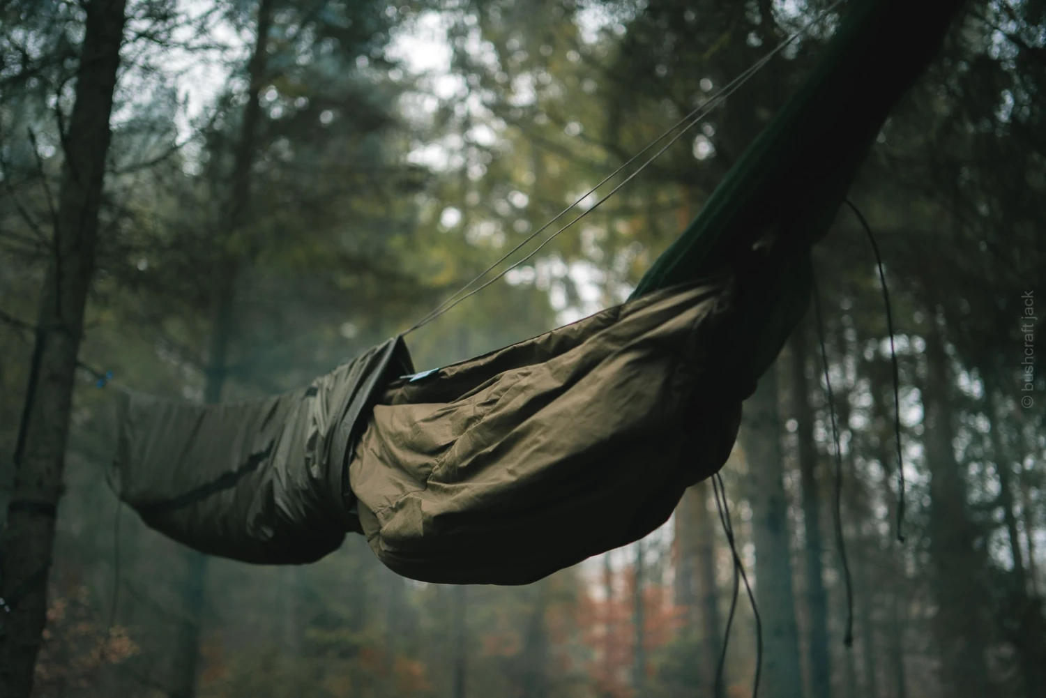 Lesovik Larva 12 Lesovik Larva – Image 10