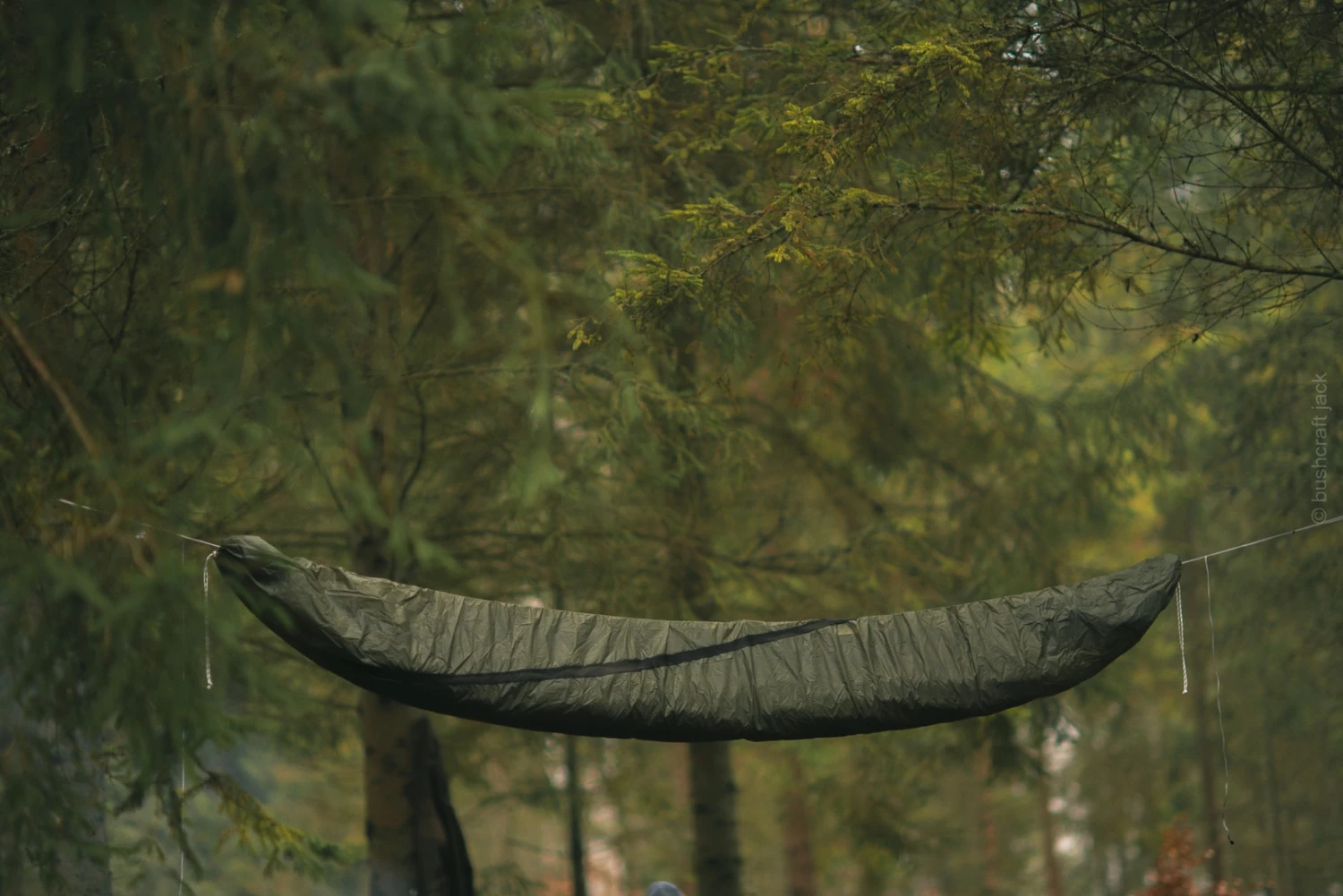 Lesovik Larva 9 Lesovik Larva – Image 7