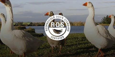 Sea To Summit Ascent ACII 22 Sea To Summit Ascent ACII – Image 20